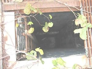 Picture provided by B7C 10/19/2022